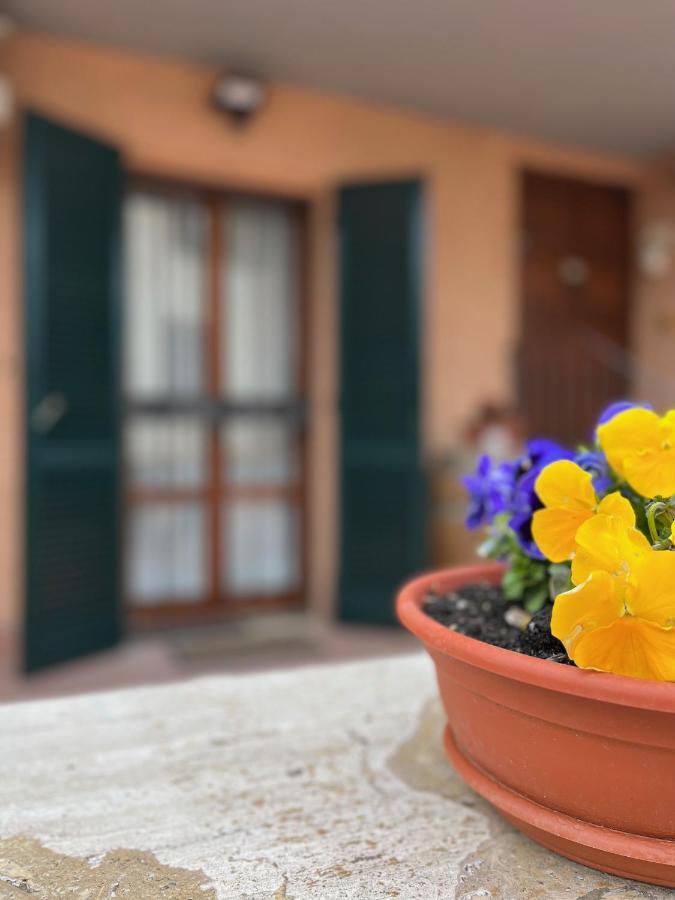 Tuscan Room San Quirico dʼOrcia Exteriér fotografie